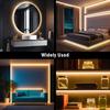 1-50M 220V COB LED Neon Şerit Işık IP67 Su Geçirmez Anahtarlı/Dimmerli AB Fişli Beyaz Doğal Sıcak Esnek Şerit Bant Oda Dekorasyonu