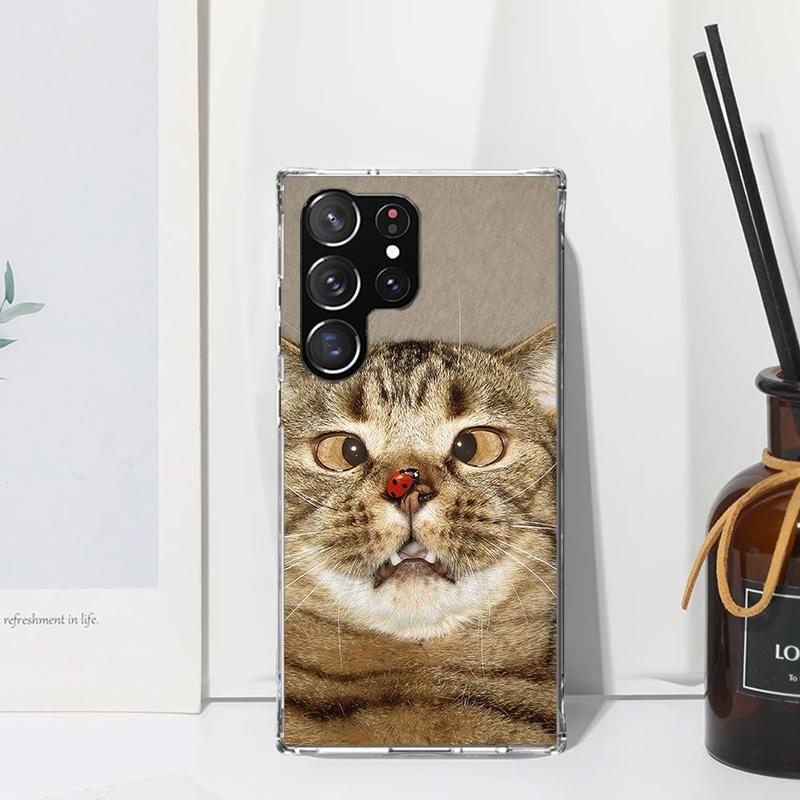 Pet Cat Funny Memes Phone Case For Samsung Galaxy S26 S25 Edge S24 FE S23 S22 Ultra S21 Plus S20 + Art Fundas Back Cover Galaxy