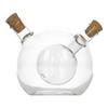 2 In 1 Glass Bottle For Oil And Vinegar 480 Ml