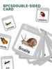 Kids' Outdoor Insect Exploration Kit: Bug Catching & Plant Observation Set for Young Scientists
