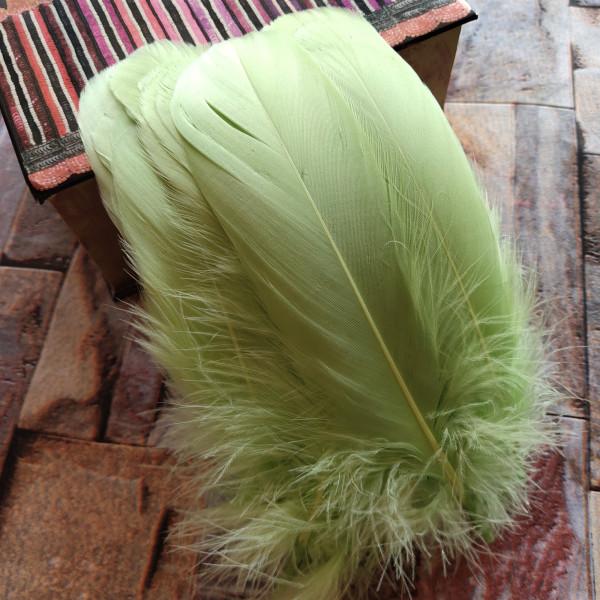 20pcs Natural Goose Feathers 31 Color Loose Goose Feathers 12-20cm Long Christmas Decoration Clothing Shoes Hat Accessories