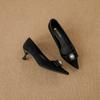 Yuanlitong 2025 autumn new high heels women's high-end sense fine heel temperament single shoes women's wear pointed women's shoes