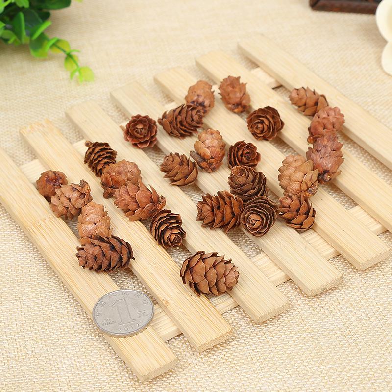 Dried Pine Cones 2-3cm - DIY Christmas Ornaments & Decorations