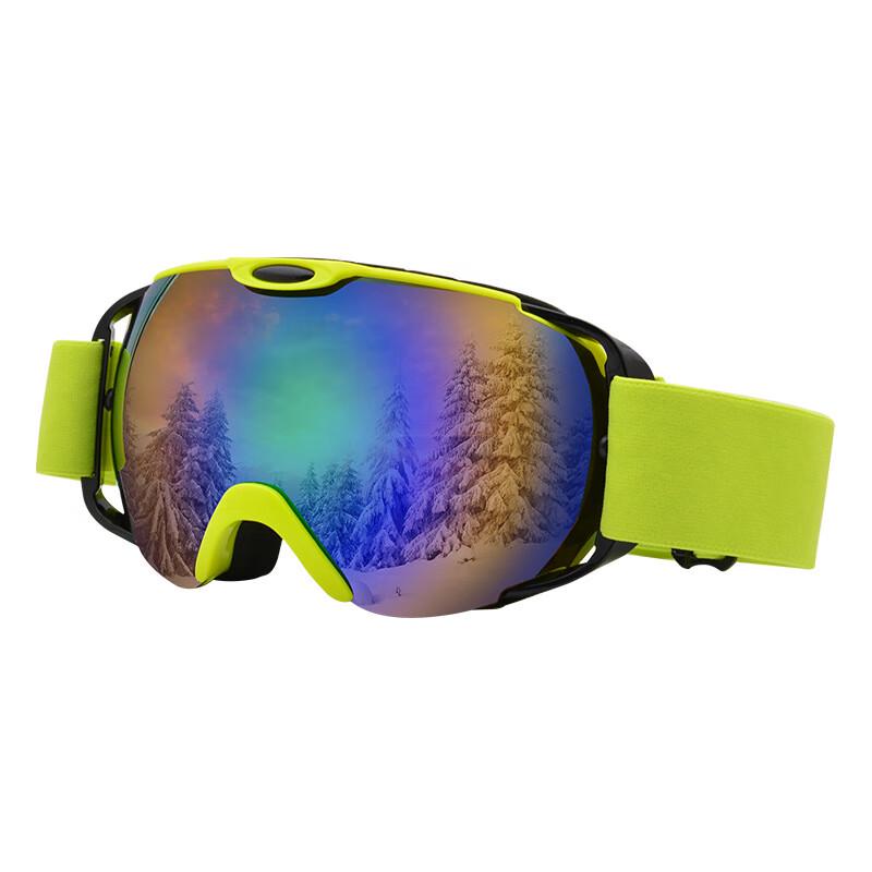 Adult Double-Layer Anti-Fog Ski Goggles