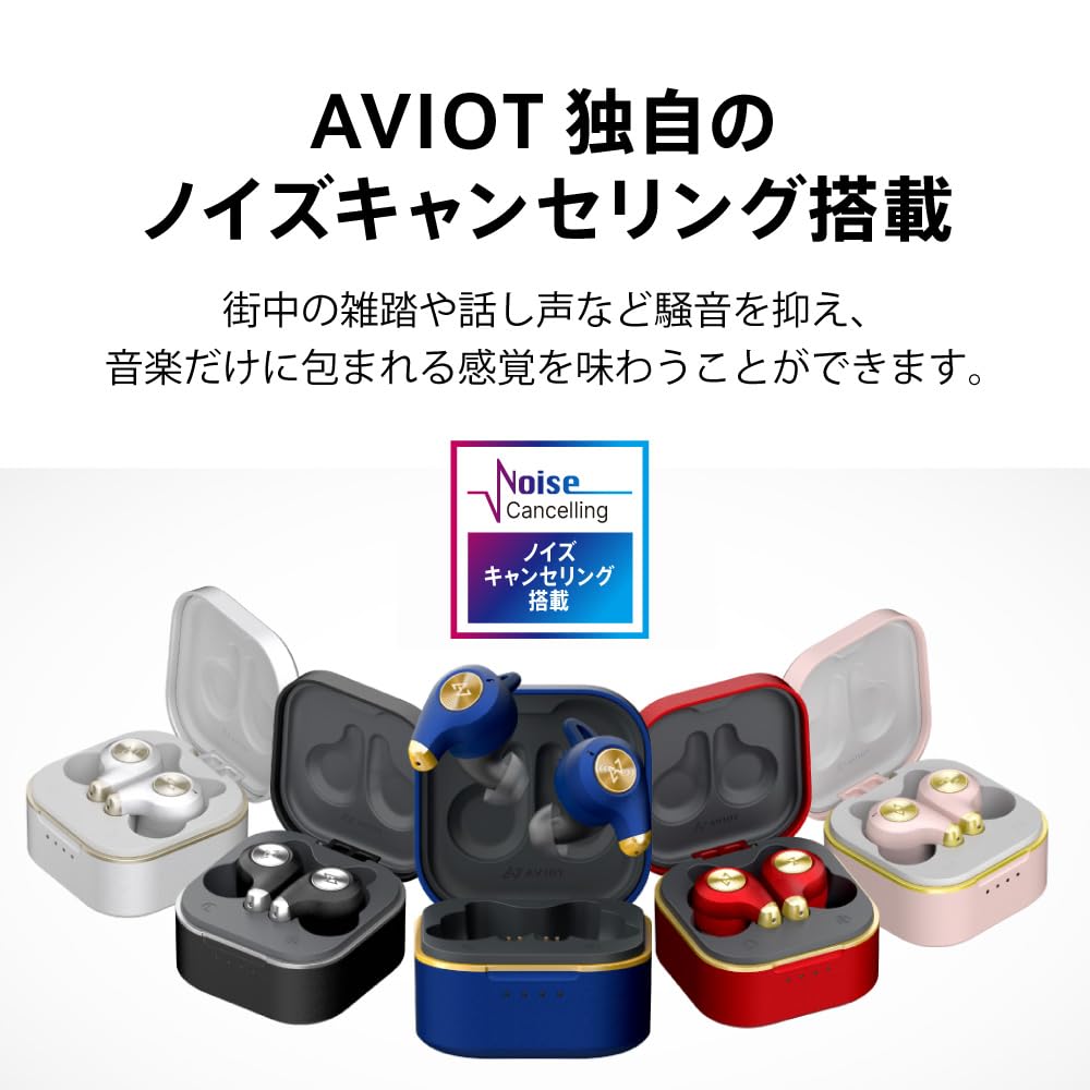AVIOT TE-D01q2 True Wireless Earbuds Noise Cancelling Bluetooth 5.2 Microphone IPX4 Red Spinel