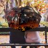 Fantasy Epic: Lord Rings Folding umbrella 8 paraphenoid bones Suitable for all seasons Umbrella outdoor travel