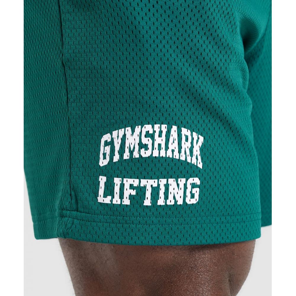 Gymshark Lifting Mesh 7  Shorts Motivate Teal A6a3o Tbqr