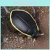 Beetle Model Toy With Static Display For Childrens Learning And Exploration