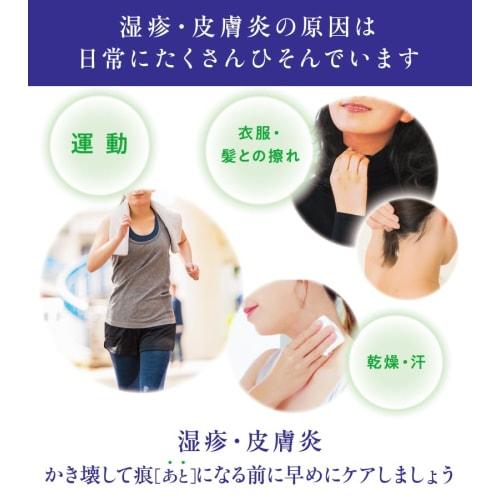 [Designated Category 2 OTC Drug] CLINILABO Mediroid VS Ointment 10g