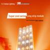 FSL LED Ceiling Lamp Core Module