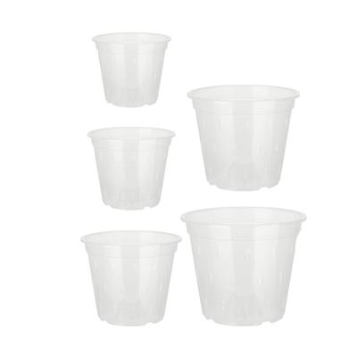 Orchid Flower Pot Breathable Clear Orchid Planting Pot with Holes for Indoor Outdoor