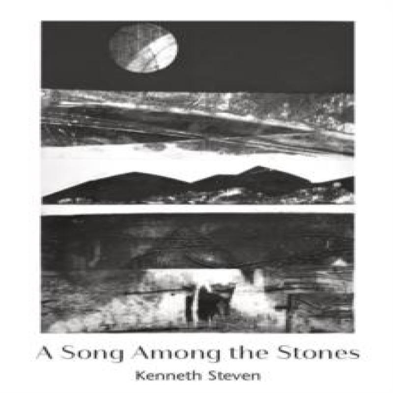 A Song Among the Stones by Kenneth Steven Paperback Book 9781804323953