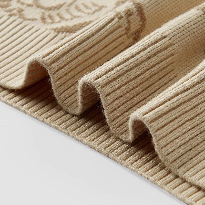 Semir Men's Zhang Renhua Collaboration Jacquard Knit Sweater