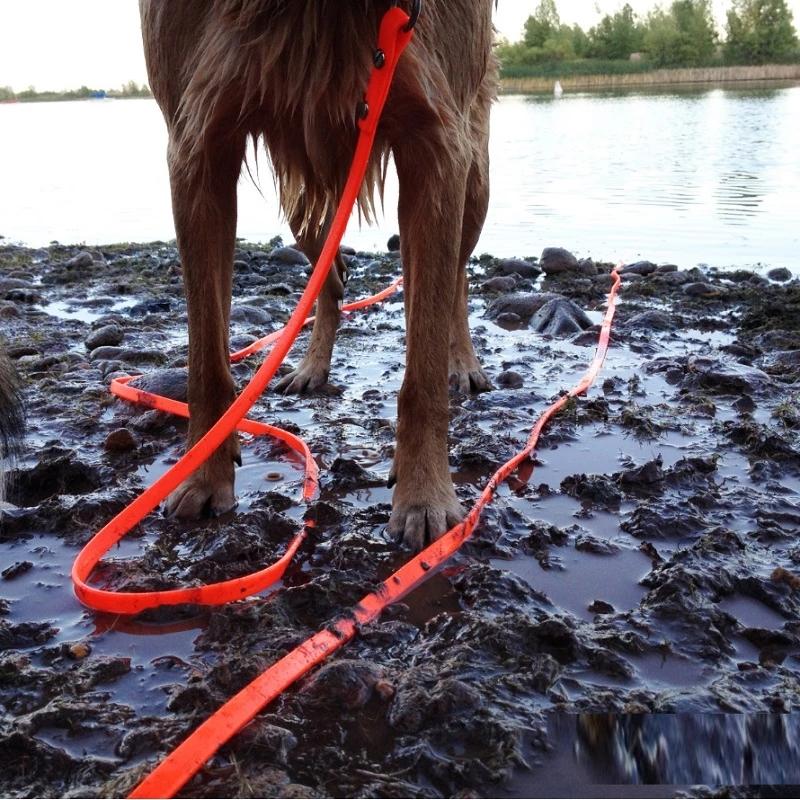 PVC Long Dog Leash, Waterproof Pet Leash, Recall Training, Tracking Obedience, Easy To Clean Rope, 5m, 10m