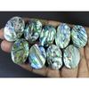 337Cts.Abalone Shell Oval Cabochon Loose Natural Gemstone 09Pcs Lot 30-33MM C-1720