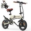 Electric Bike Foldable ESKUTE F200 250W Motor Top Speed 25Km/h 36V 7.8AH Range 50Km Load 120Kg