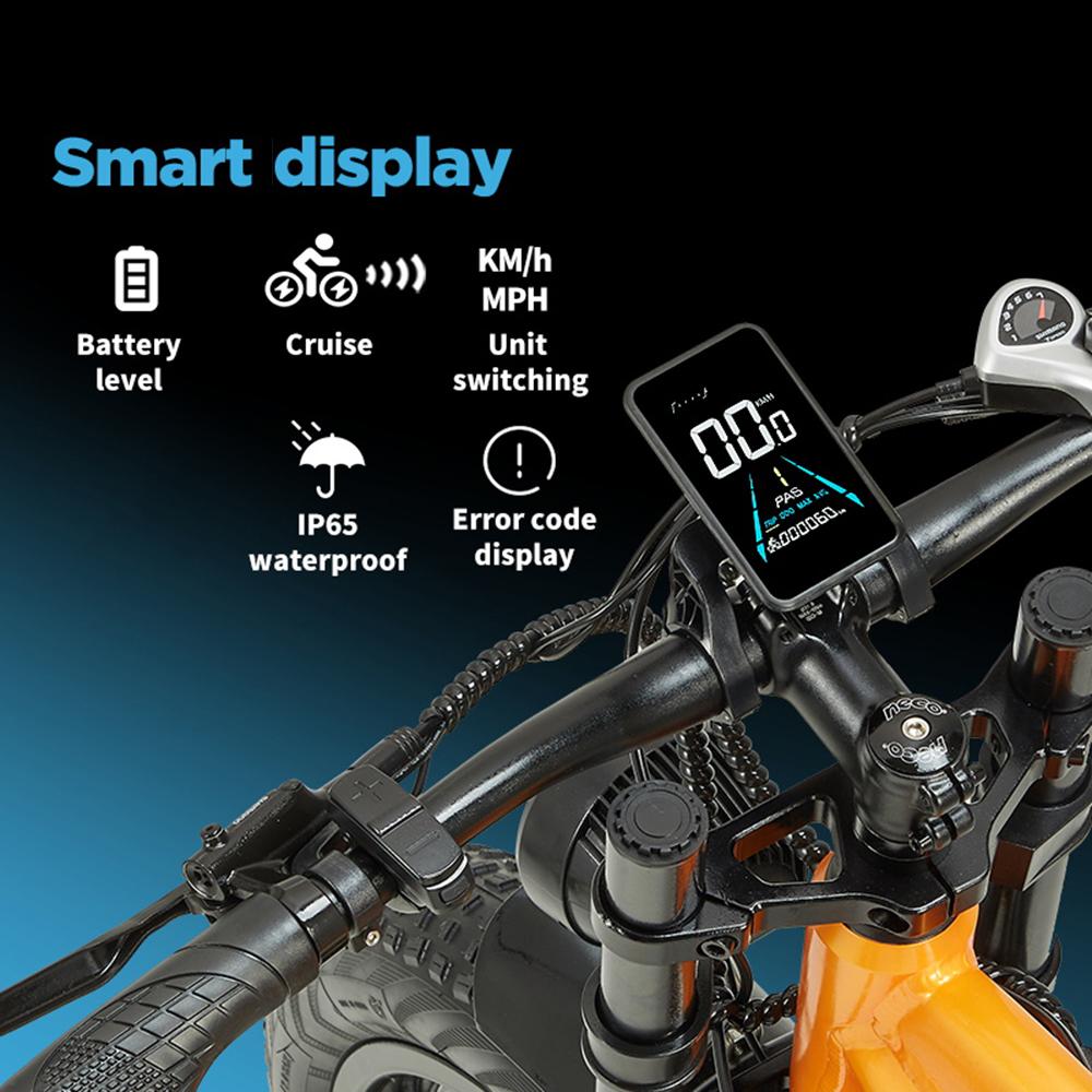 Randride YX80-2 dual motor, 48V20AH detachable battery, 26 * 4.0-inch tire Ximano 7-speed, aluminum alloy frame electric bicycle