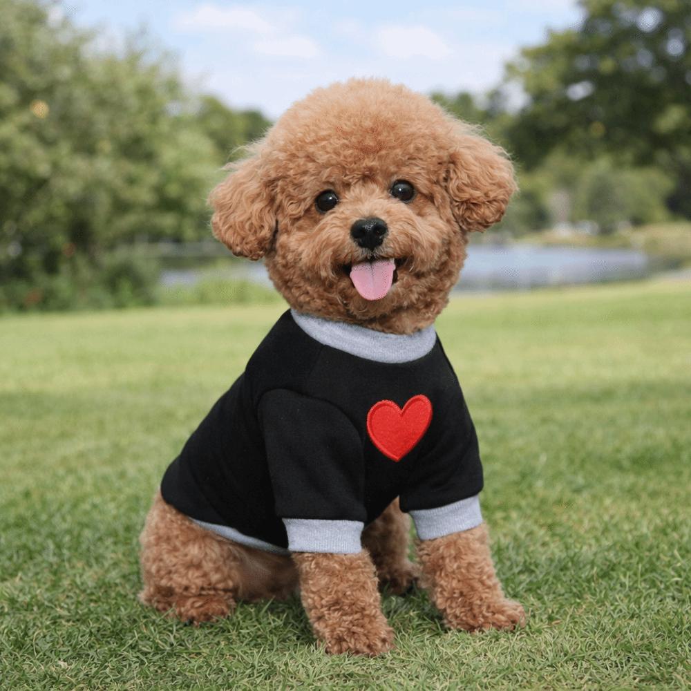 Warm Cat Pullover Thickened Cat Love Clothing Casual Style Dog Love Hoodie  Autumn Winter