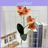 Butterfly Orchid Artificial Flower For Wedding Decor And Photography Scene Setup