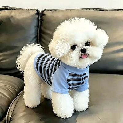 Abbigliamento e scarpe – Gilet e camicie per cani