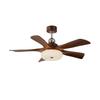 OEING 47-inch 5-Blade Eye-Protection Smart Ceiling Fan Light