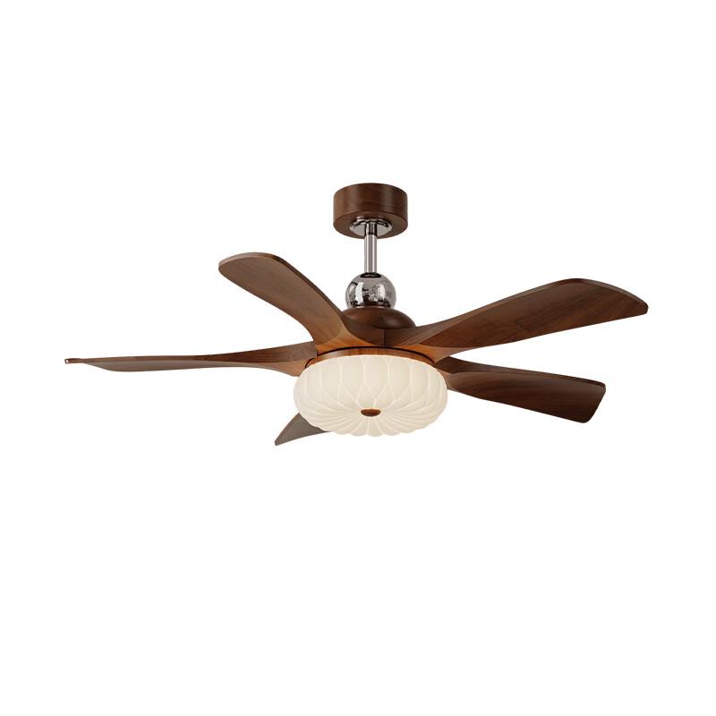 OEING 47-inch 5-Blade Eye-Protection Smart Ceiling Fan Light