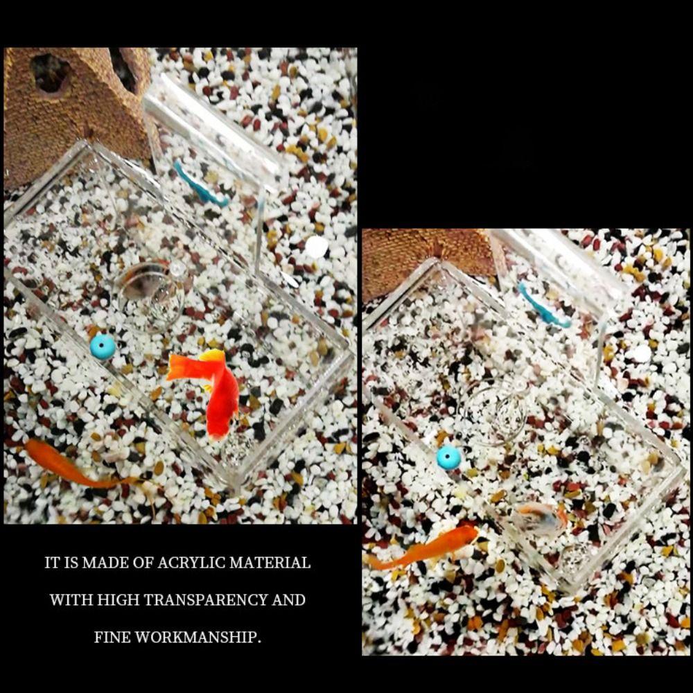 Wall Mount Fish Breeding Box Acylic Floating Hatching Box Fish Tank Isolation Box for Fish Store