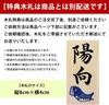 Osaka Choseido May Festival Compact 25cm Chirimen with Name Engraving and Wooden Tag Horai Couple Carp Doll, Mini, Wide, Fabric, (Shipped Separately),