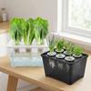 Plastic Soil-Free Planting Box Self Watering Nursery Pots  Vegetable Growing