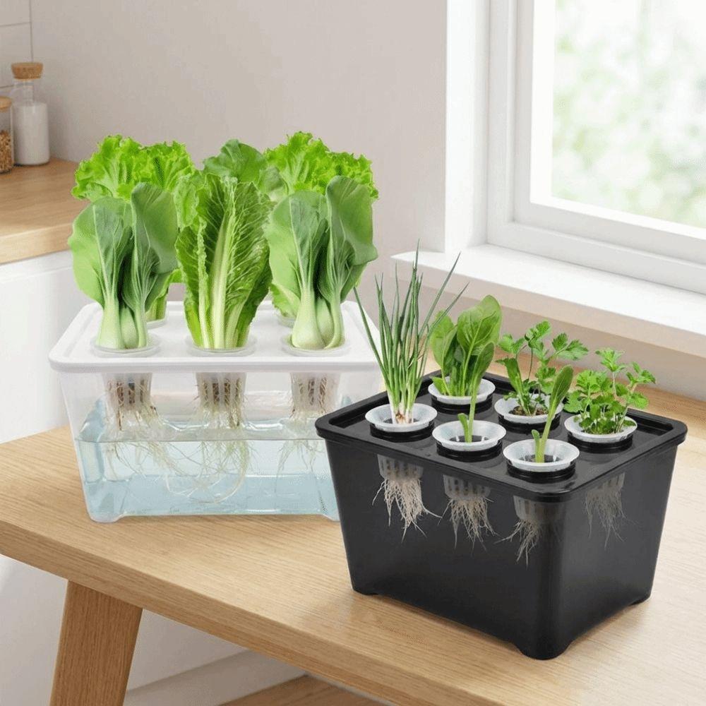 Plastic Soil-Free Planting Box Self Watering Nursery Pots  Vegetable Growing
