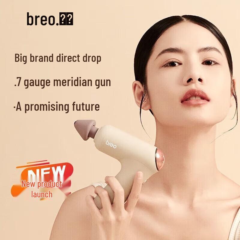 Breo Percussion Massage Gun CN plug (adapter included)