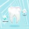 Nice Anti-Cavity & Fresh Breath Toothpaste