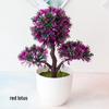 Mini Potted Grass Bonsai: Cherry Snowball Home Decor Ornament