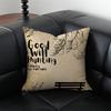 Movie Inspirational GGood Will HHunting Cushion Cover Pillow Case Antidustmite Invisible Zipper Silky Plush Cushion