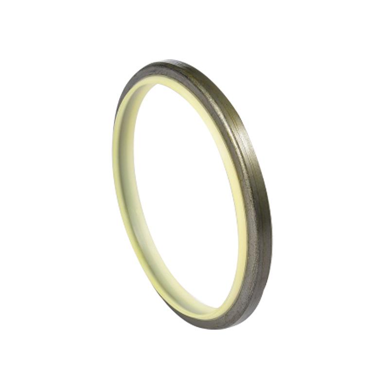 Hydraulic & DKBI Oil Seals: Skeleton Seals, Standard Parts Available
