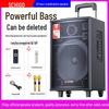 Chigo High-Power Outdoor Bluetooth Trolley Speaker for Music & Karaoke