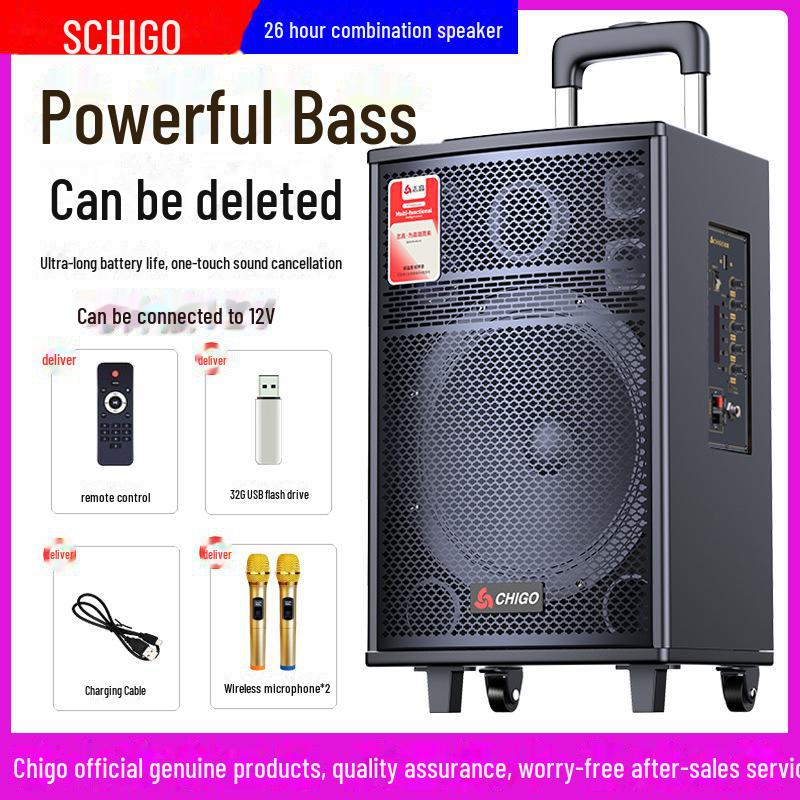 Chigo High-Power Outdoor Bluetooth Trolley Speaker for Music & Karaoke