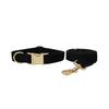 Black Velvet Dog Collar and Leash - Dark Purple/Pink