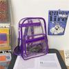 Transparent Student Backpack