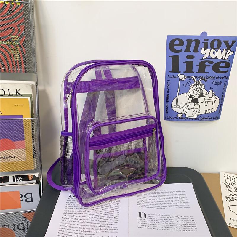 Transparent Student Backpack