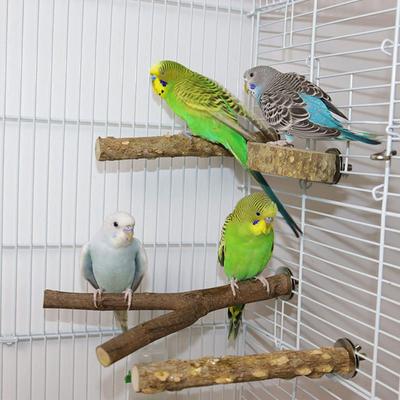 6Pcs Parrot Perch Bird Stand With Trapeze 2 Parrot Perch And Circular Platforms Natural Wood Bird Stand For Small Budgies