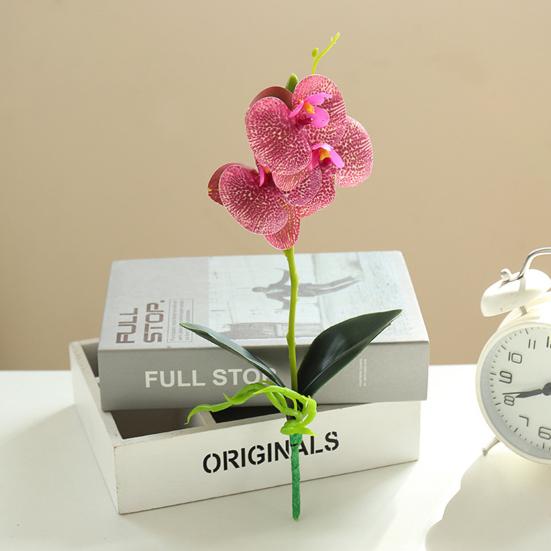 Useful Simulation Phalaenopsis Not Withered Luxury Decorate