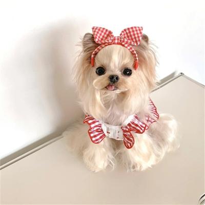 Bekleidung & Schuhe – Hundekleider