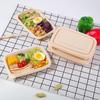 Biodegradable Corn Starch Rectangular Food Container