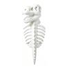 Costume Divertente per Gatti di Halloween Costume Scheletro di Dinosauro Abbigliamento Carino Abbigliamento Comodo Outfit per Gatti Festa Cosplay Oggetti di Scena per Foto Animale Domestico Inverno