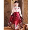2025 Spring & Autumn Girls' Hanfu Skirt Set: Chinese Tang Style