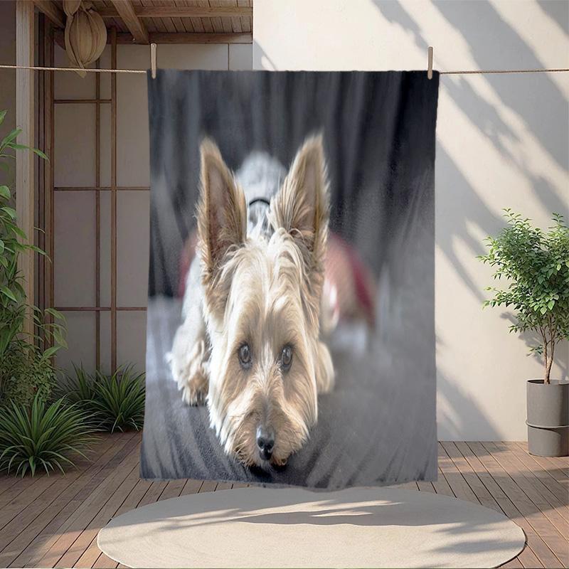 1pc Dog Pattern Blanket, All Season Lightweight Home Office Outdoor Nap Multifunctional Blanket