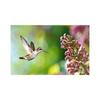 Posters and prints with hummingbird, canvas painting, birds, animals, cuadros, wall art paintings for the living room, modern home decor,