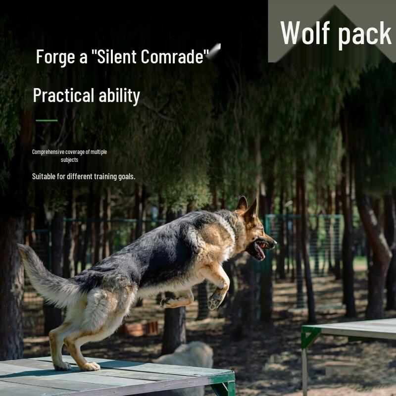 Conglang Professional Dog Training Obstacle Course Equipment