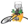 EMEADS Dual-Circuit Electric Hydraulic Pump with Pressure Holding CN Plug (adapter Included)
